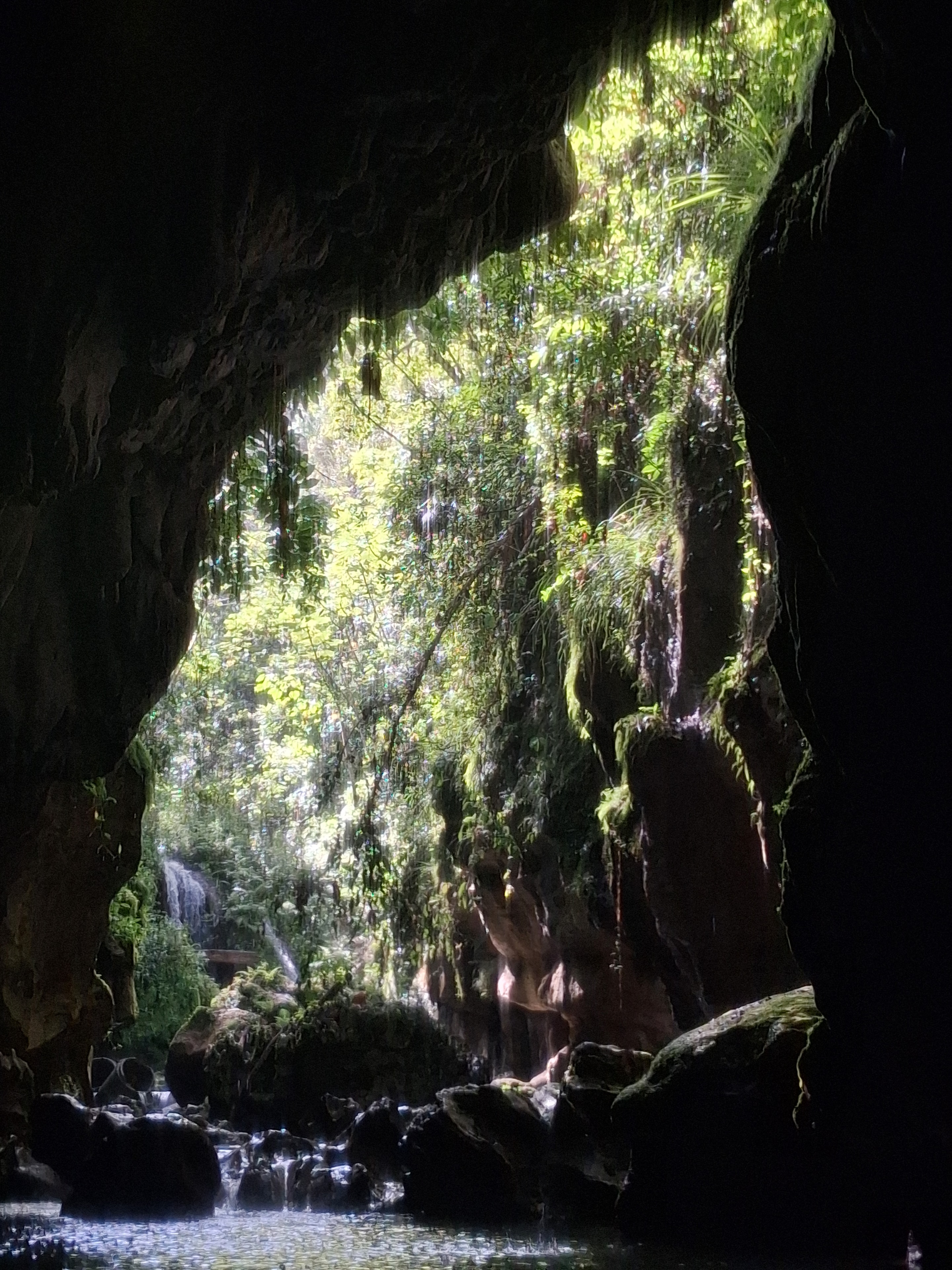 Tour group at the Charco Azul karst formations