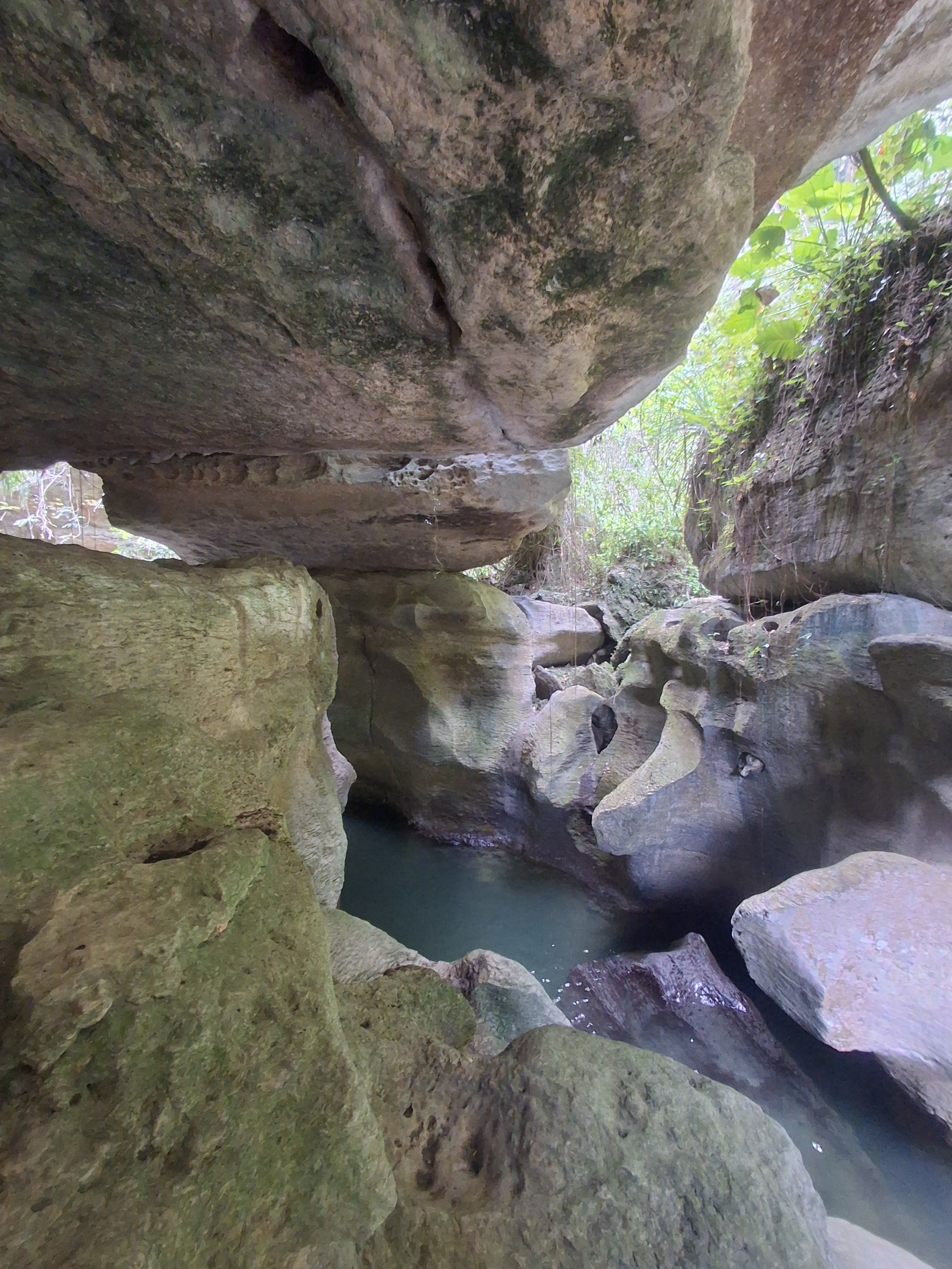 Looking up through sculpted karst rock formations toward the sky