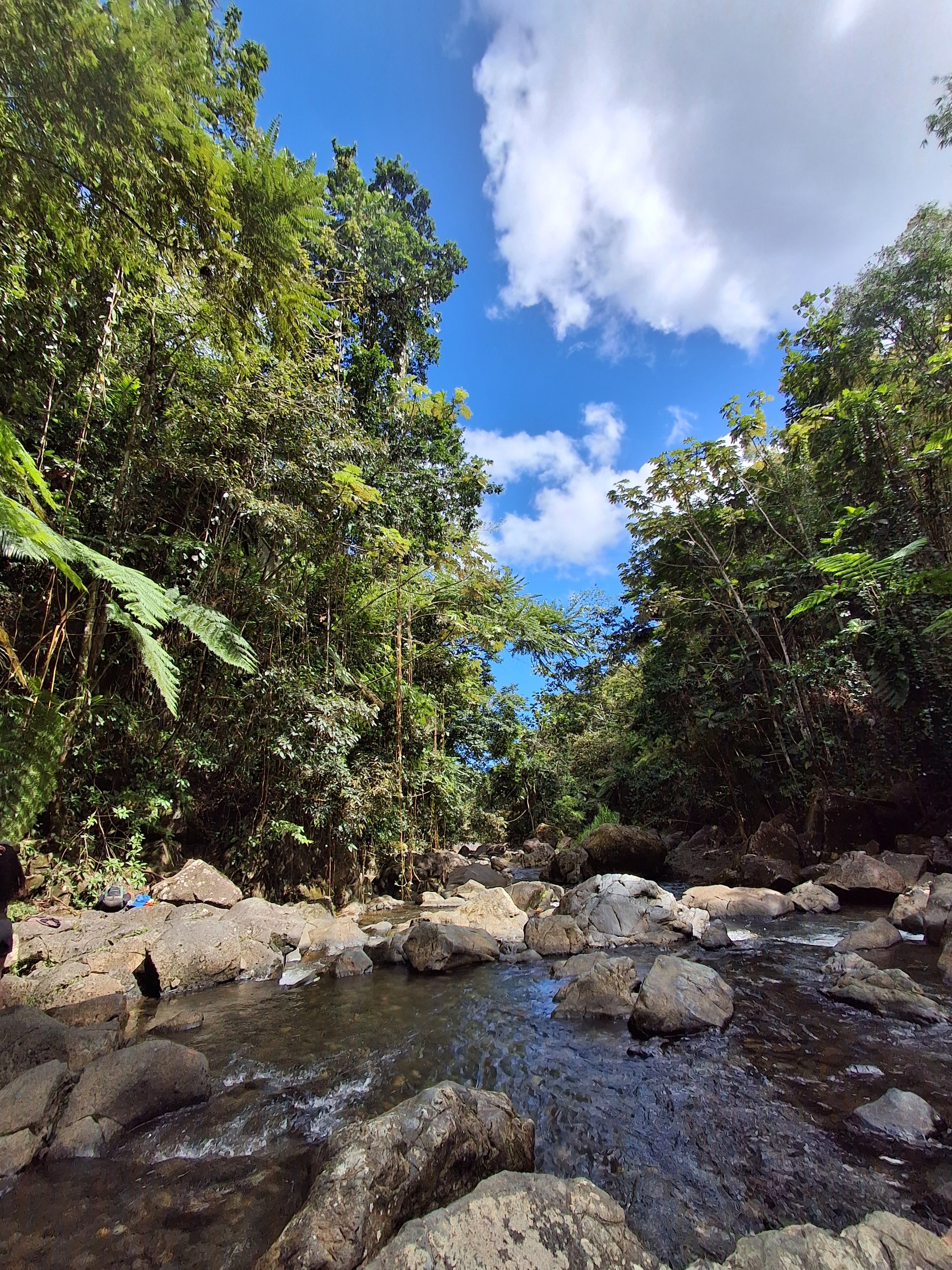 Group adventure in the tropical rainforest