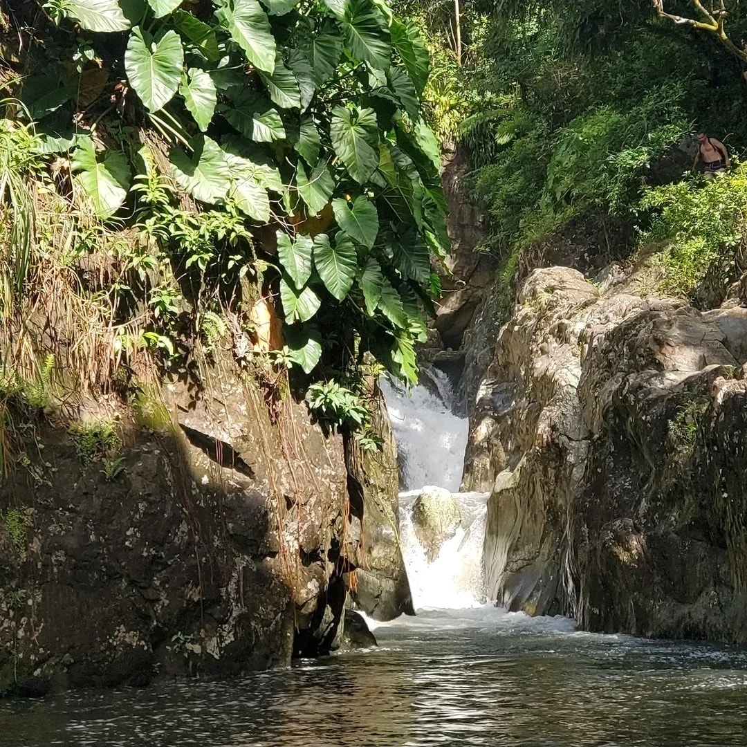 Tropical river canyon with lush green vegetation