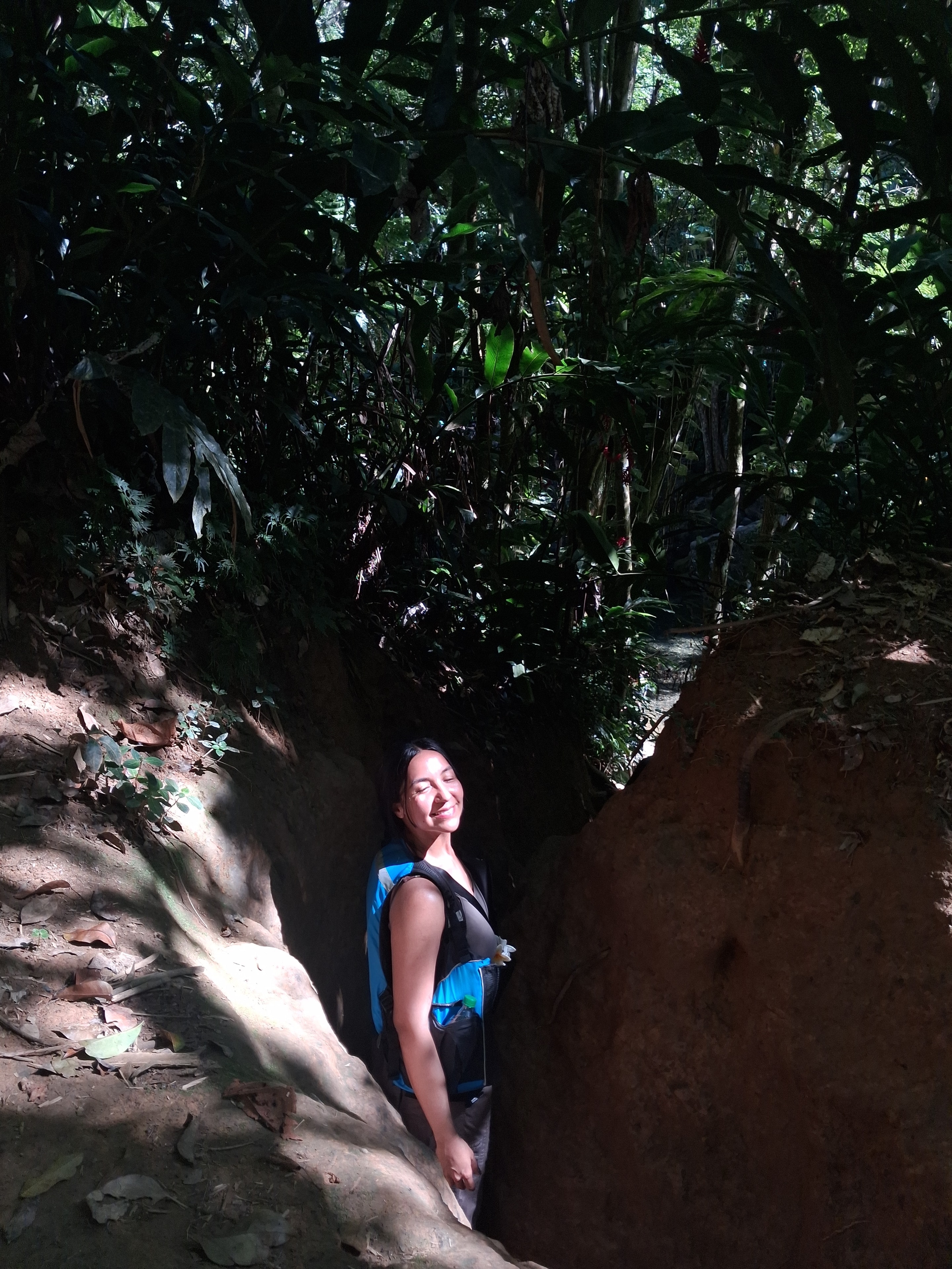 Guide smiling in a sunlit rainforest trail passage