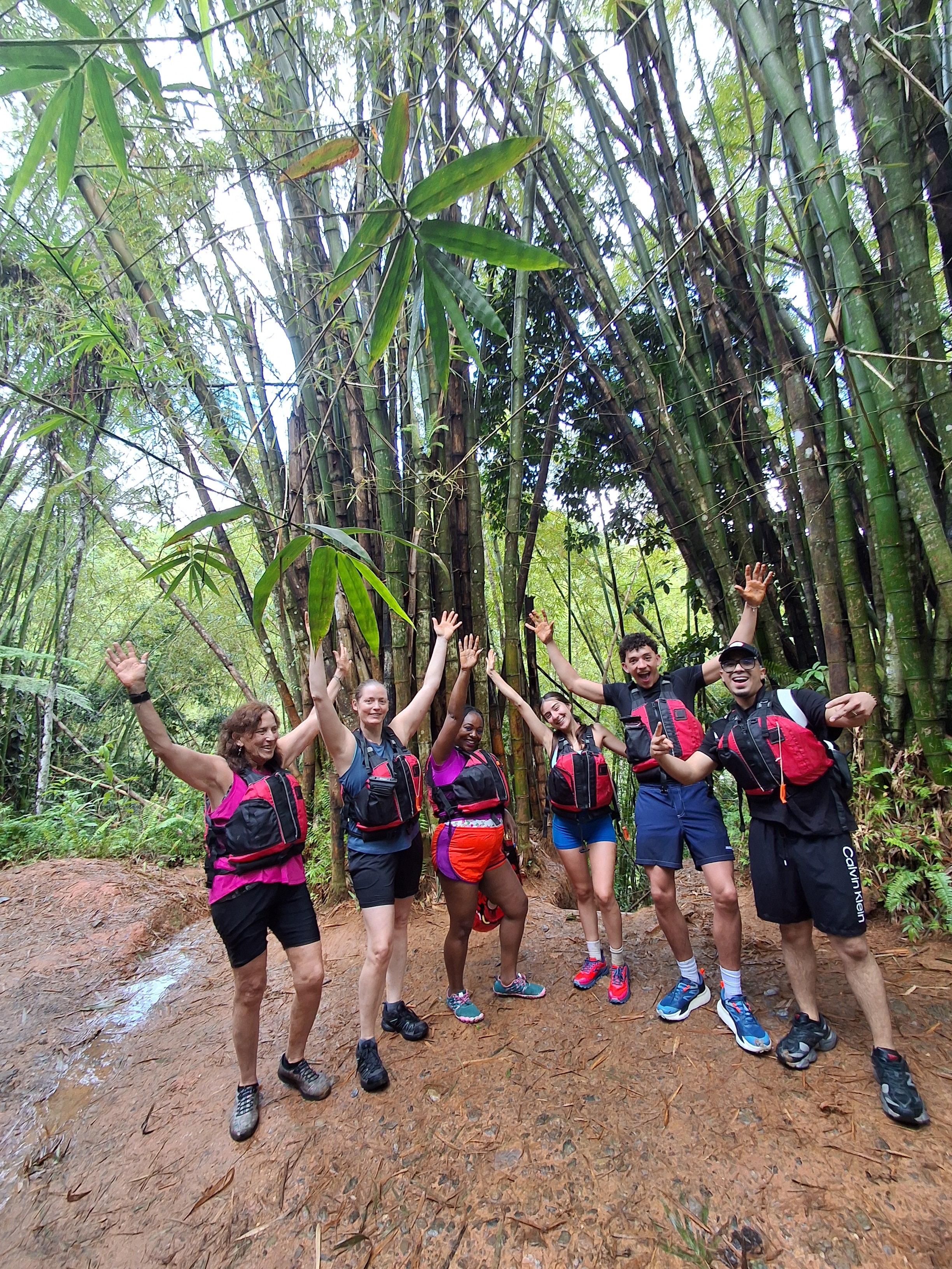 Island Pulse Tours group hiking through a bamboo forest in Puerto Rico