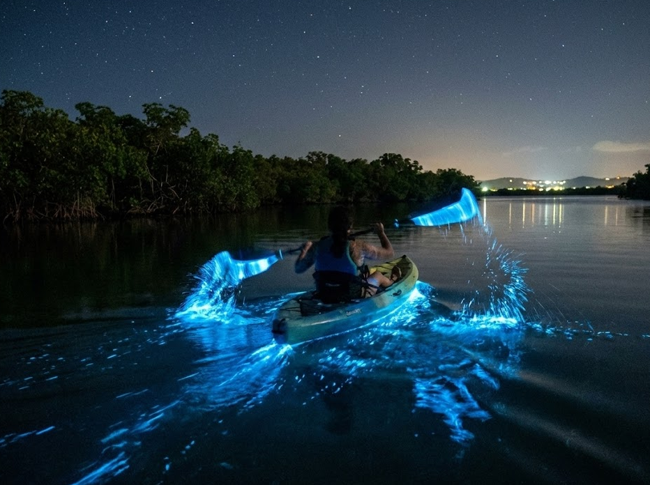 Bio Bay Kayak