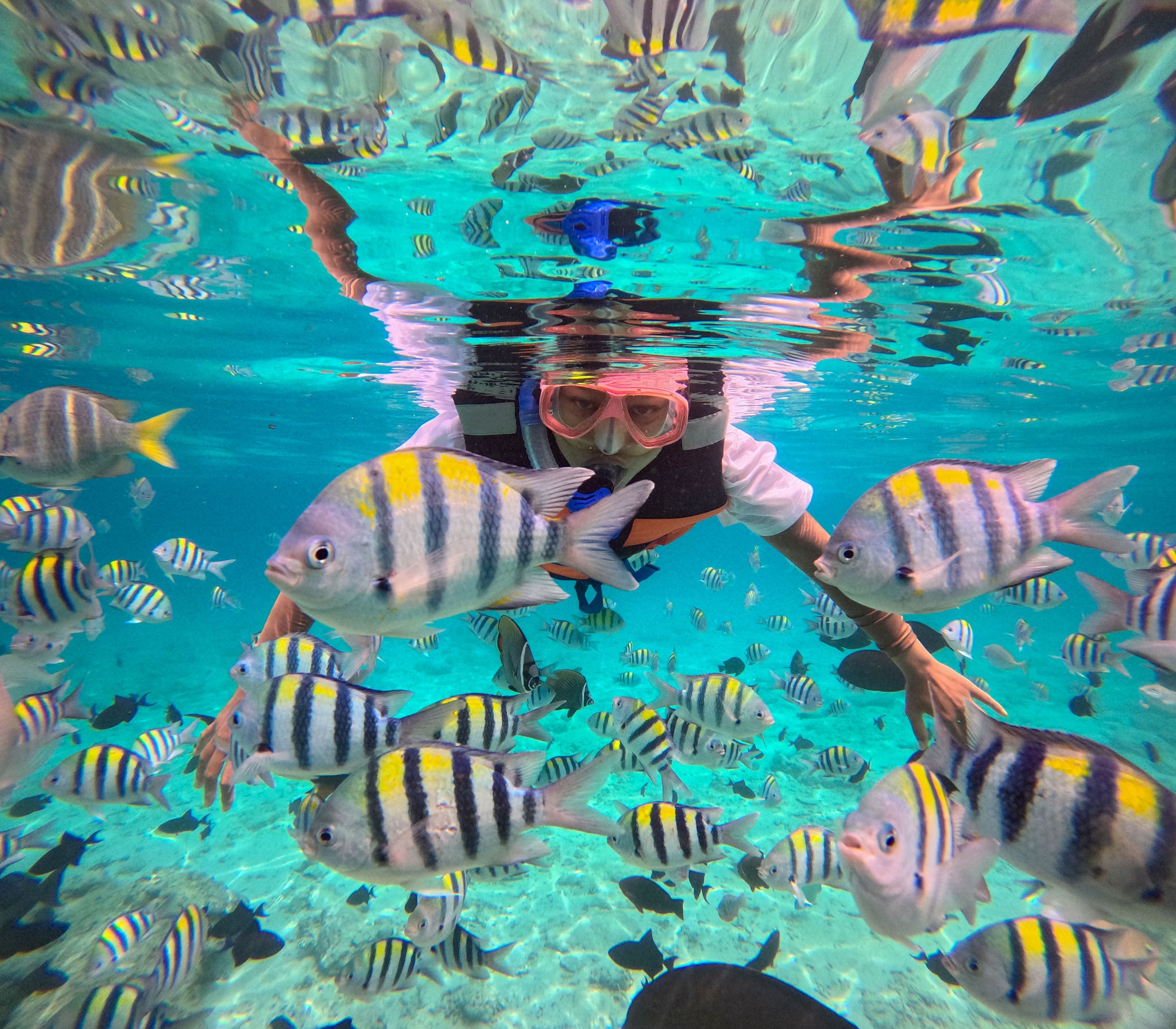 Snorkeling in Icacos
