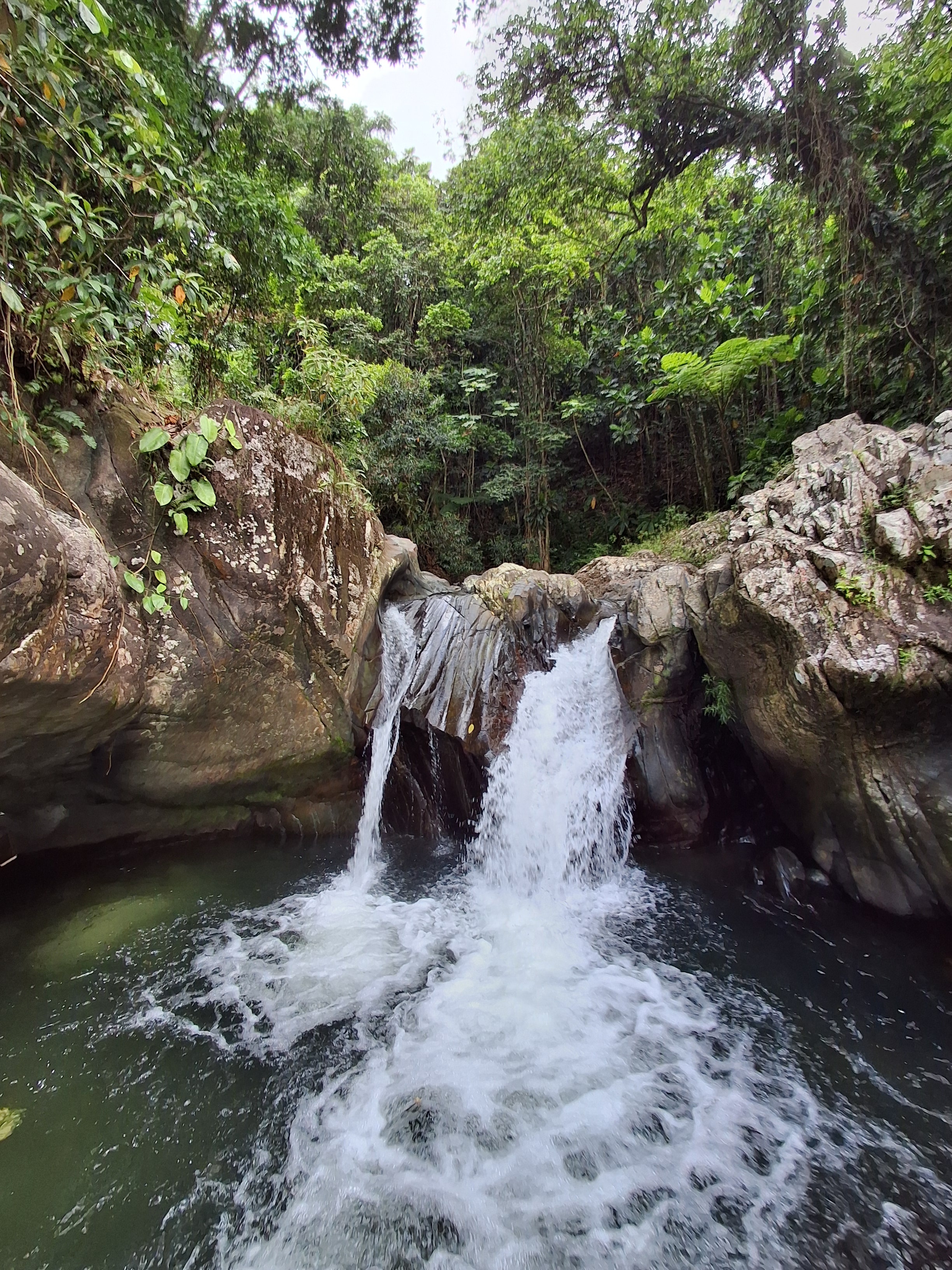 Rainforest & Waterslide Tour photo 2