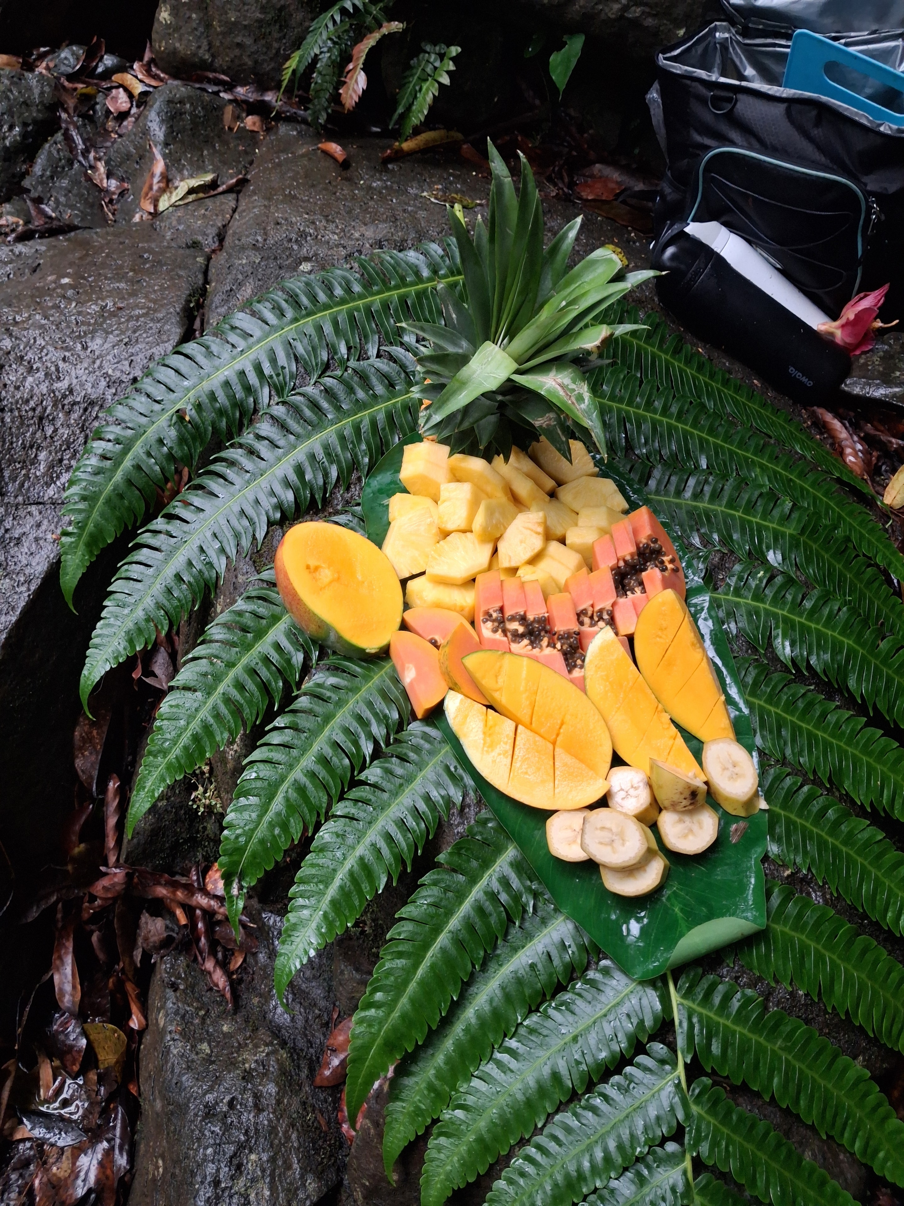 Rainforest & Waterslide Tour photo 3