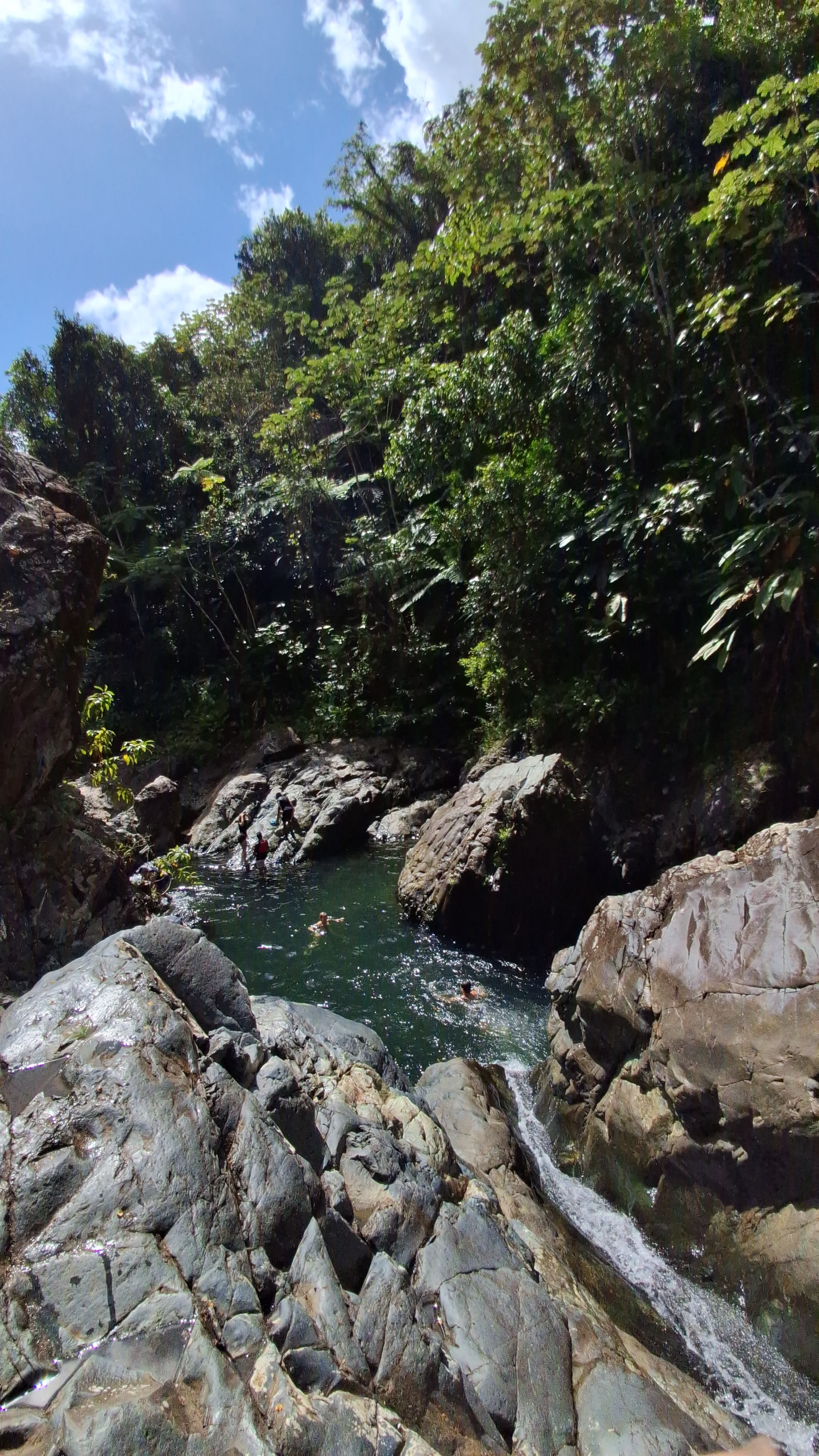 Rainforest & Waterslide Tour photo 6